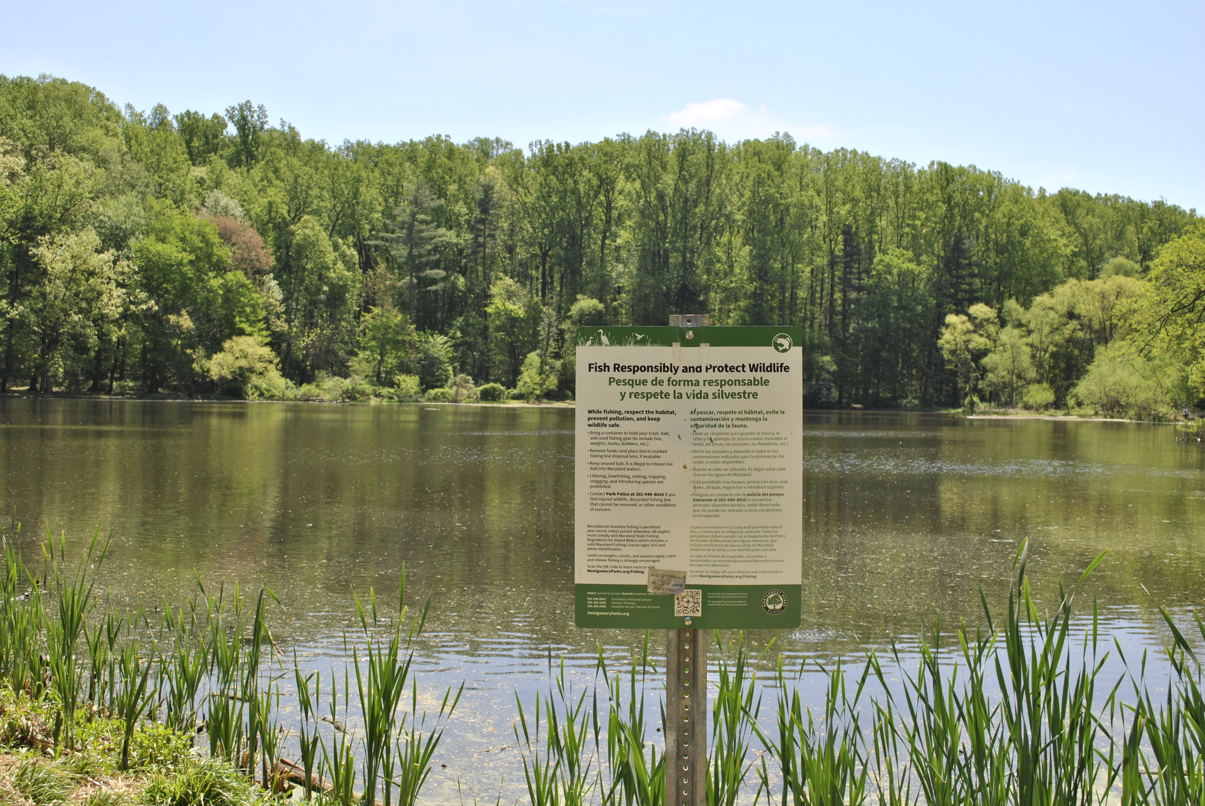 Brookside Gardens